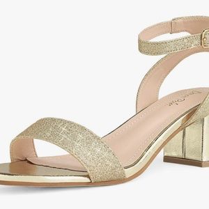 DREAM PAIRS Women's Open Toe Ankle Strap Low Block Chunky Heels